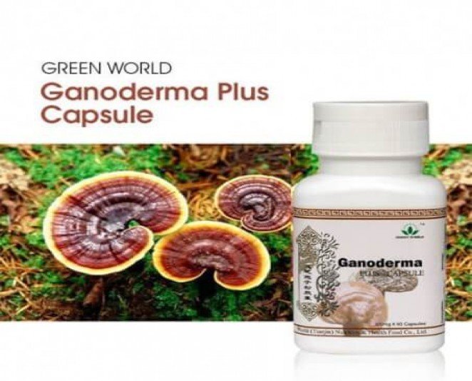 Ganoderma Plus Capsule Price in Pakistan