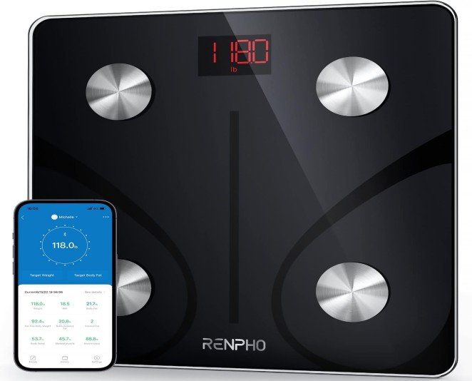 Body Fat Scale