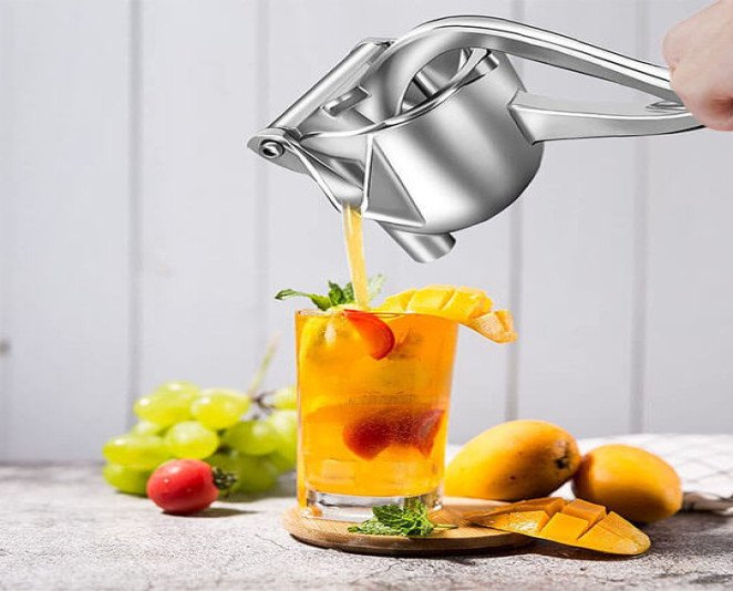 Fruit Press Manual Juicer Price in Pakistan